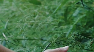 Woman Touching Grass leaves on Mountain Trek