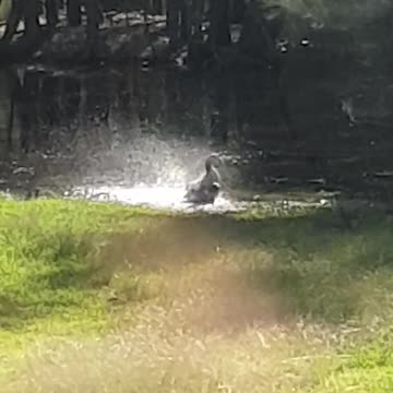 Nothing like a great bath