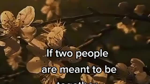 Relationship Facts #4