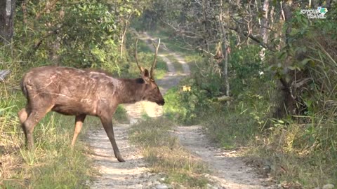 Beauty of Nepal