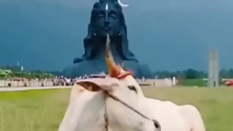 Om namh shivay