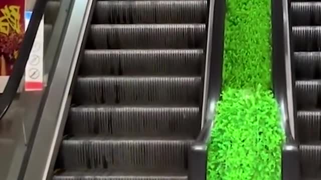 Funniest cats and dogs πΆπ± part 8