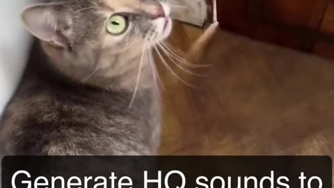 Sounds that attract cats