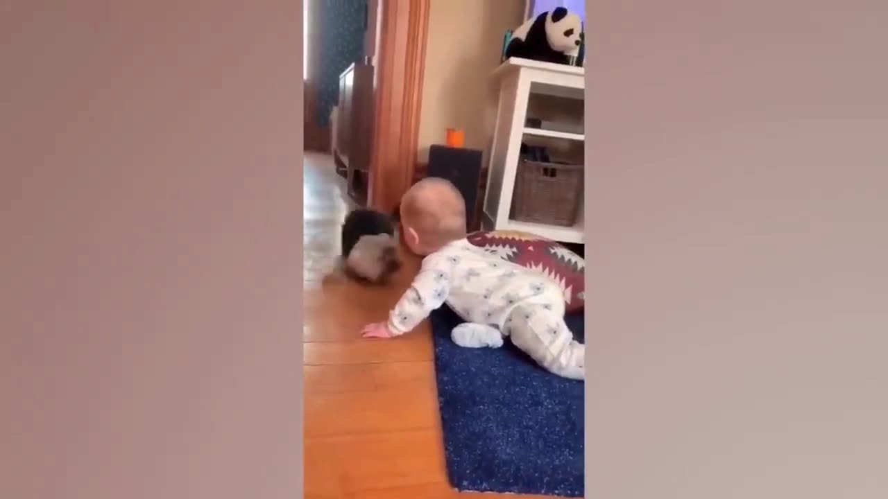 Baby Videos Will Make You Laugh