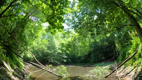 Buck Brothers' Lodge, Pond in Early Summer