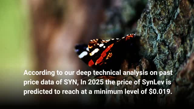 SynLev Price Prediction 2022, 2025, 2030 SYN Cryptocurrency Price Prediction