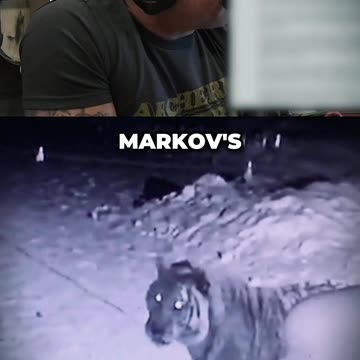 Terrifying Story Of A Tiger Getting Revenge On A Man