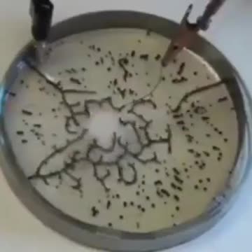 백신 속의 산화 그리핀이 라이오 전파에 반응