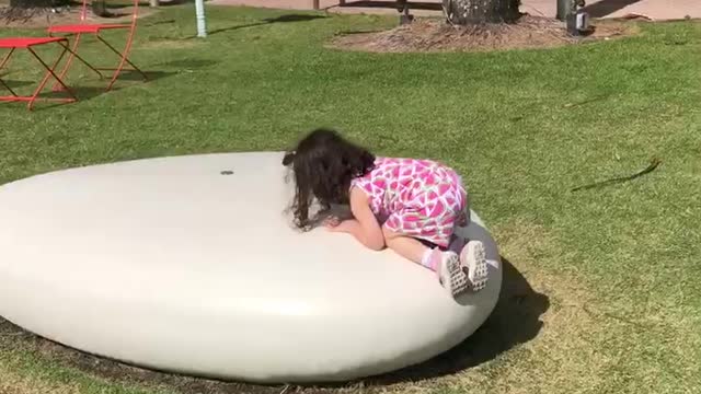 Mila exploring PBG downtown area very thoroughly