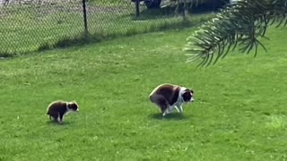 Poopin Double