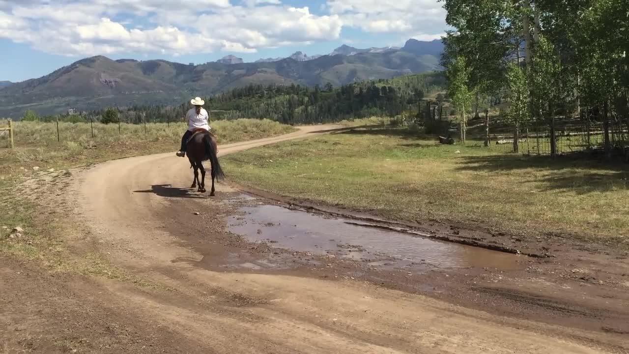 Matrix Trail Riding