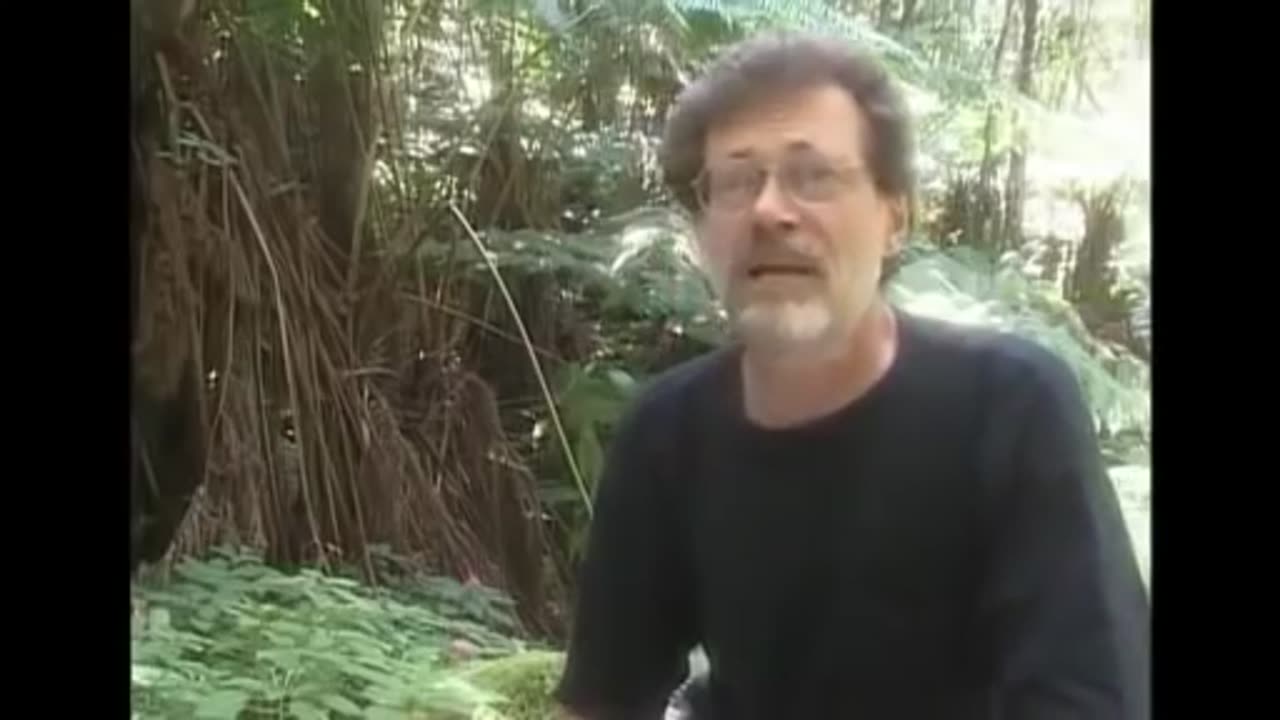 Terence McKenna 's Final Interview