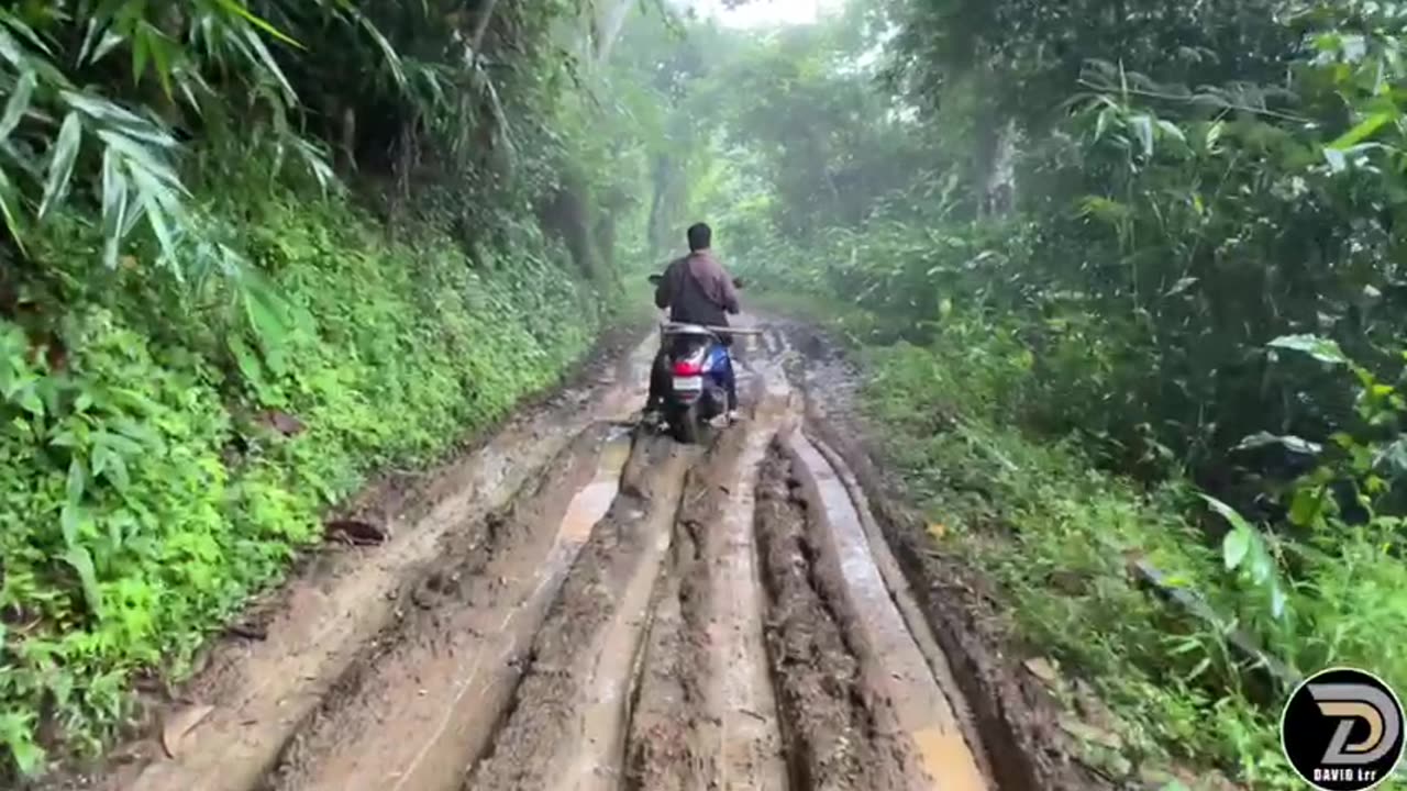 The Rainy Day.. Life in the Forest Way. Watch the full video on the description of the link below