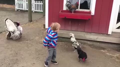 Funny Baby Playing Tag With Animals