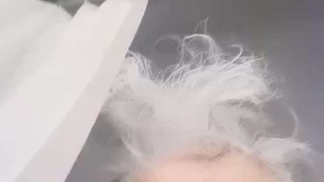 Australia: Truckie Blockade. Vets are In. Stock Up.