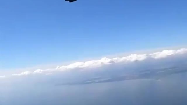 Free fall Свободное падение