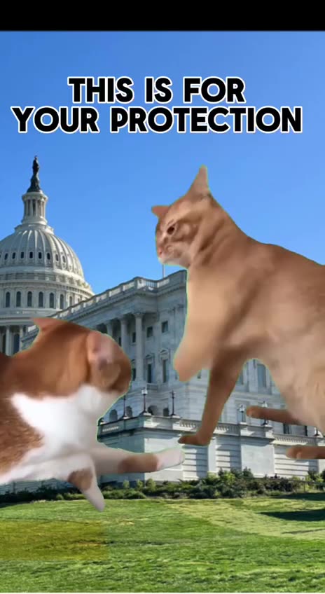 🤣 We're Banning TikTok For Your Protection