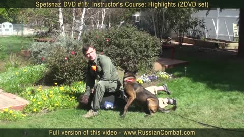 dog training #1