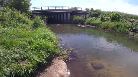 Kankakee River trip