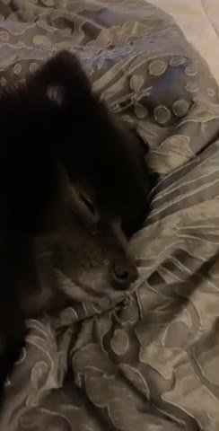 Toby’s rude awakening