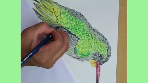 PICAFLOR BRONCEADO / URUFAUNA