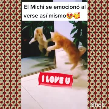 I'm is beautiful 🤗 #thebest 🥰