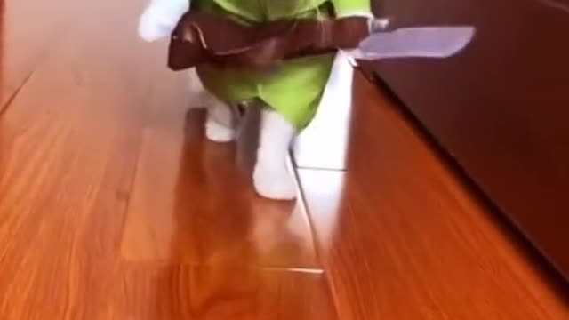 catwalk. how about the new clothes
