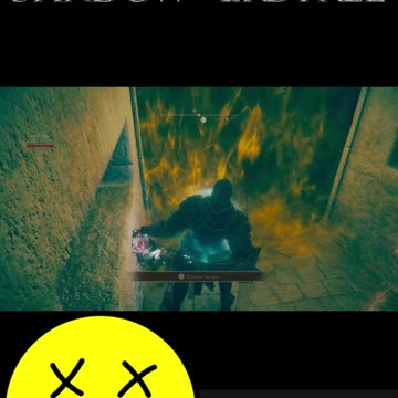 On Account Of The Implication #shorts #eldenring #shadowoftheerdtree #eldenringshadowoftheerdtree