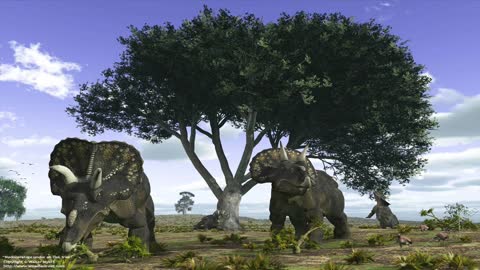 large ceratopsians sound effect