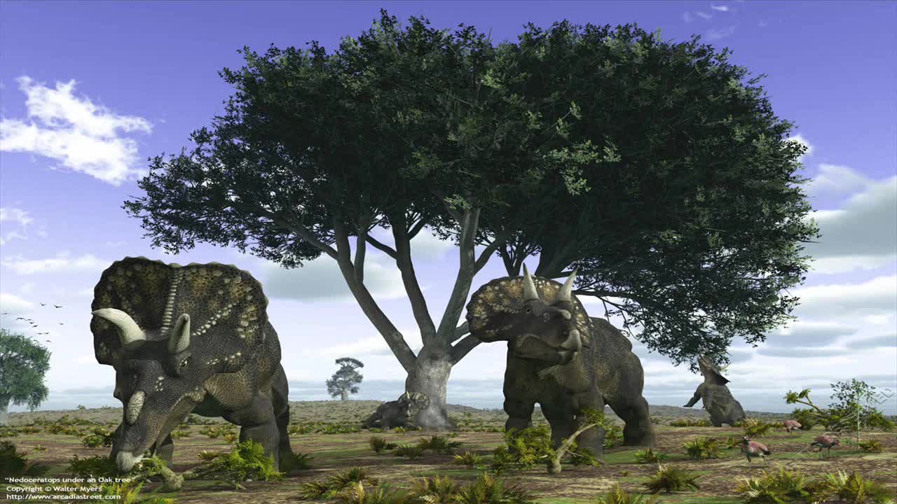 large ceratopsians sound effect