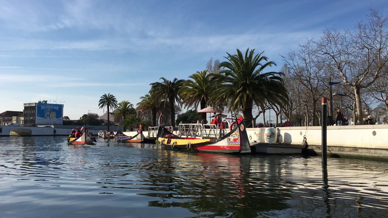 Moliceiros Boat Tour (Aveiro, Beira Litoral, Portugal) 5