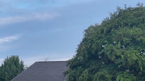 Pilot in Mississippi threatened to crash plane into Tupelo Walmart, police say | Raw video