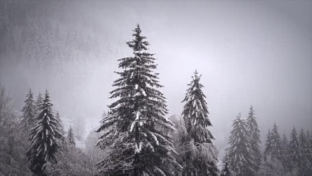 Relaxing, Soothing, Stress Relief Snowfall and music