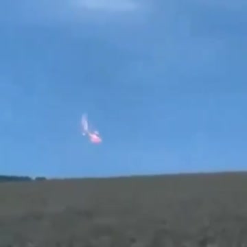 What in the world is going on?