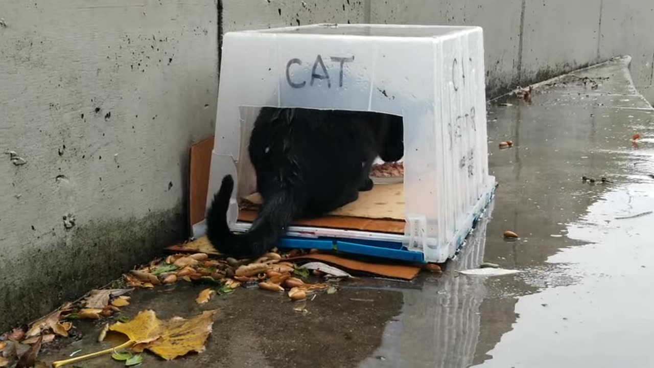 20240110 155749 Tux Eating in Shelter