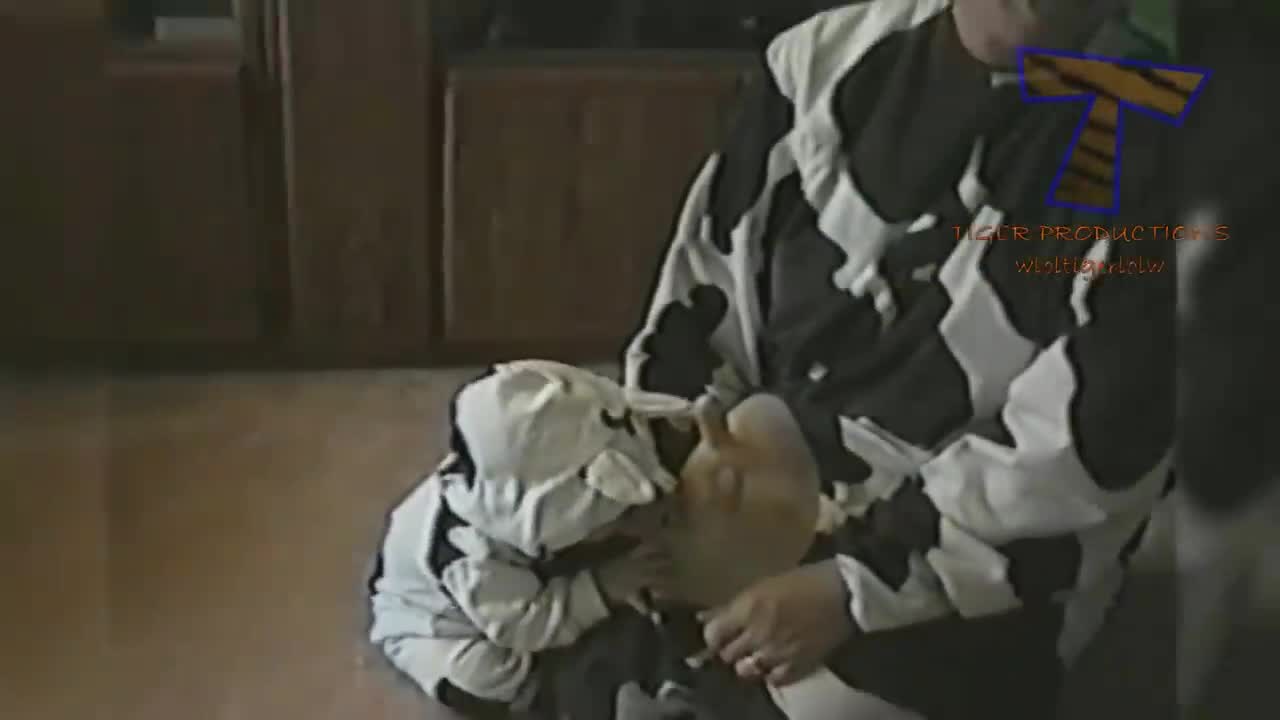 Compiled FUNNY VIDEOS