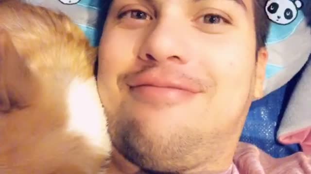 Corgi Loves Her Owner