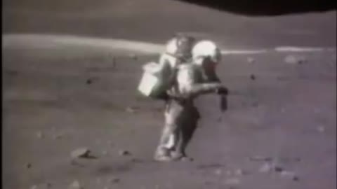MOON ROCK IS REALLY JUST PETRIFIED WOOD