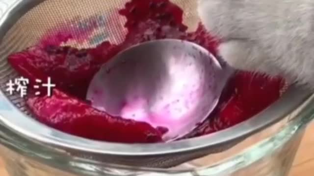 Cute Cat Making Food Instantly | Intelligent Cat Videos