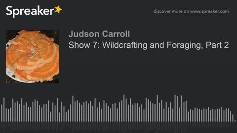 Show 7: Wildcrafting and Foraging, Part 2... part 3