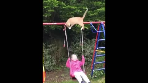 New funny animals