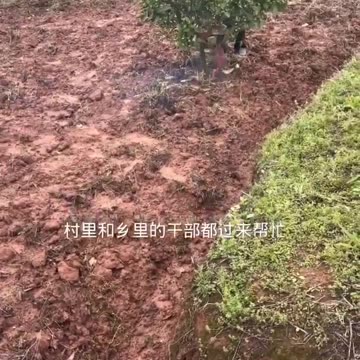 Терорът над селяните в Китай