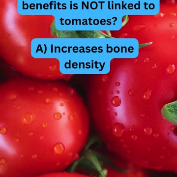 Tomato Trivia 🍅🌿