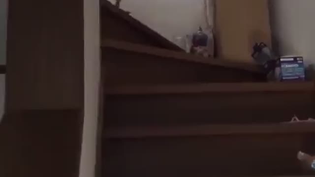 ΒΡΕΘΗΚΕ ΤΟ ΤΕΛΕΙΟ ΞΥΠΝΗΤΗΡΙ