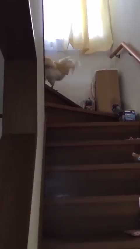 ΒΡΕΘΗΚΕ ΤΟ ΤΕΛΕΙΟ ΞΥΠΝΗΤΗΡΙ