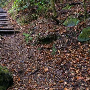 Beautiful nature in Madeira