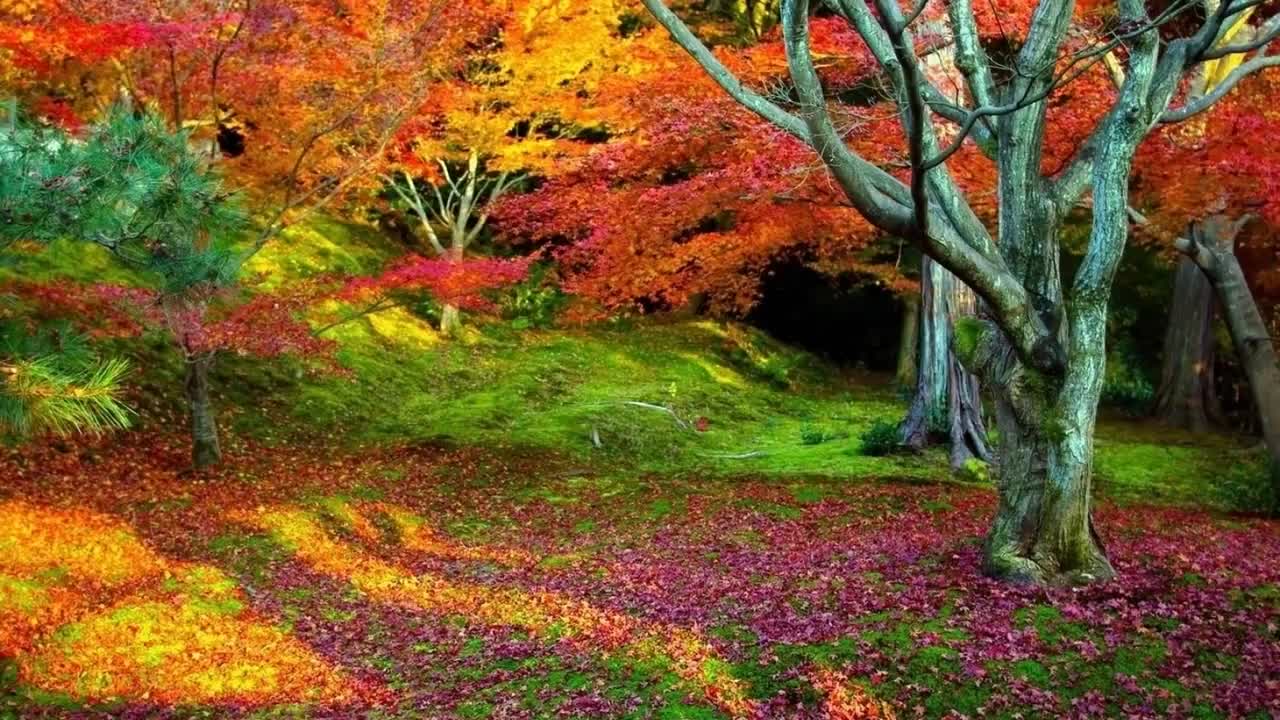 Thanksgiving Autumn Jazz Ambient Piano Music