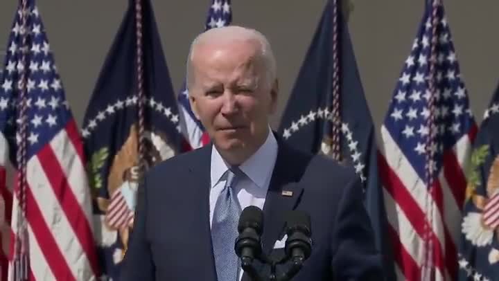 Joe Biden Brain Fart