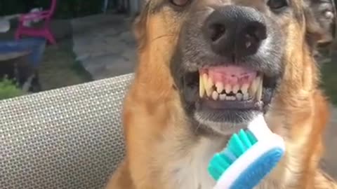 I don't like my mother to brush my teeth
