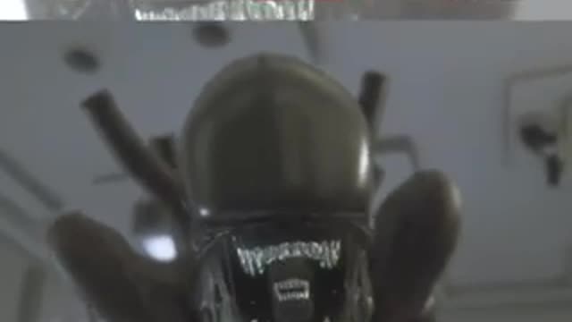 Alien isolation